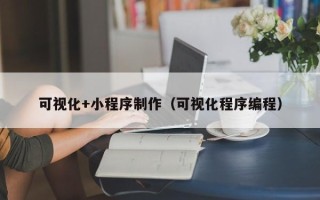 秦皇岛可视化+小程序制作（可视化程序编程）